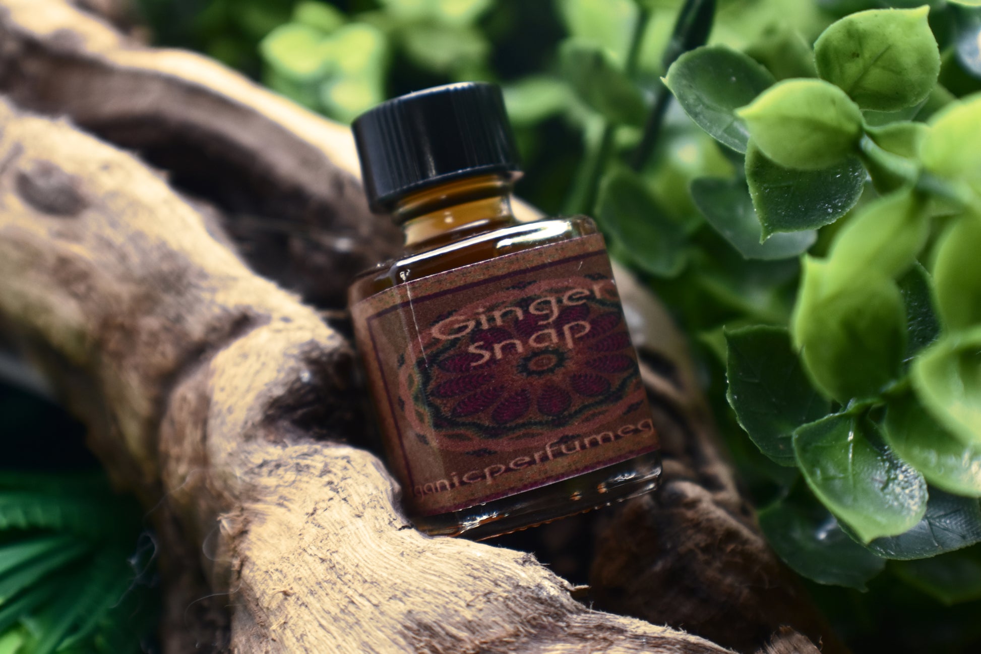 Ginger Snap™ Botanical Perfume - Artisan Handmade Perfume